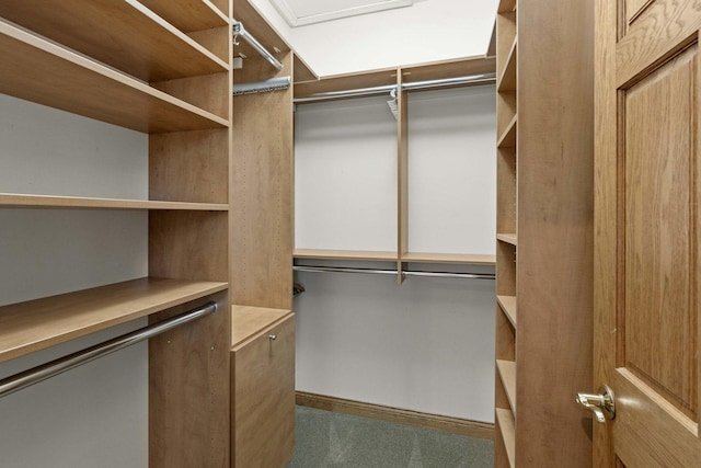 10440 Deer Chase Ave, Orland Park, IL 60467 - view of walk in closet