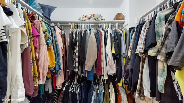 2606 Martin Dr, Spring Grove, IL 60081 - view of spacious closet