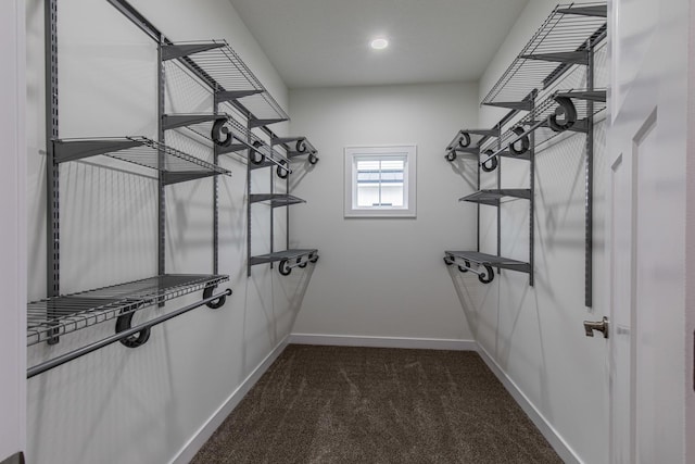 1017 S Sixth St Unit 1, Princeton, IL 61356 - walk in closet with dark colored carpet