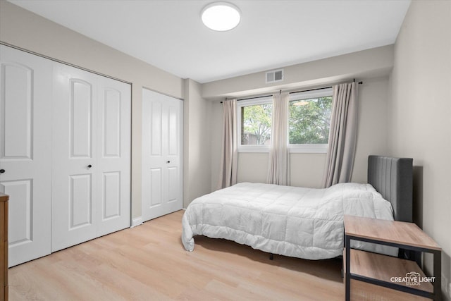 4425 Blackhawk Ln Unit 201, Lisle, IL 60532 - bedroom with wood finished floors and multiple closets