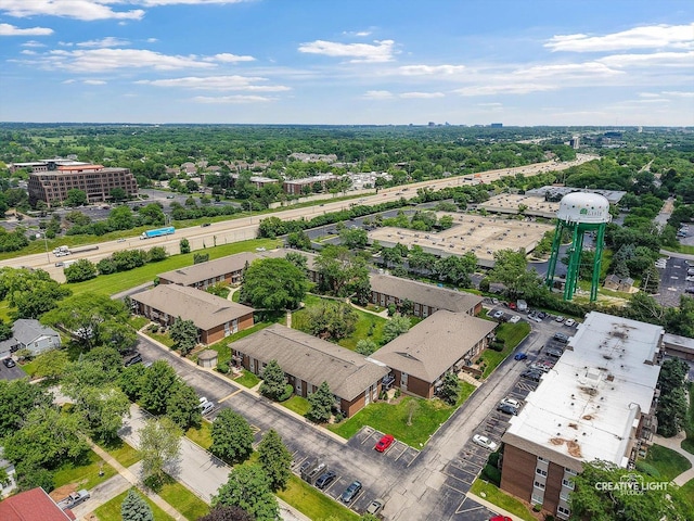 4425 Blackhawk Ln Unit 201, Lisle, IL 60532 - aerial view
