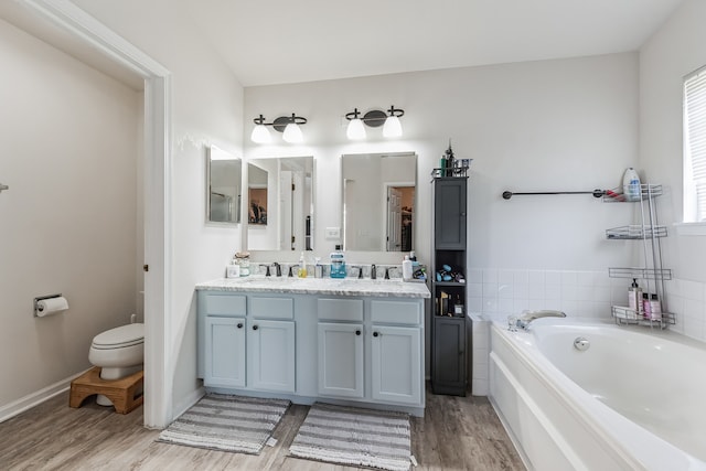 2704 Flagstone Cir, Naperville, IL 60564 - bathroom featuring wood finished floors, double vanity, a garden tub, and a healthy amount of sunlight