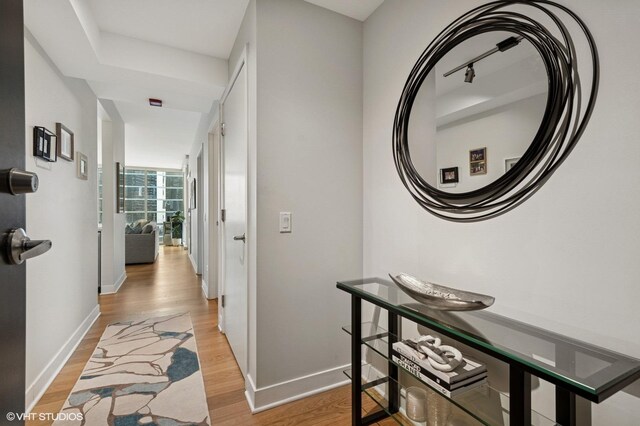505 N Mcclurg Ct Unit 1801, Chicago, IL 60611 - corridor with light wood finished floors and baseboards