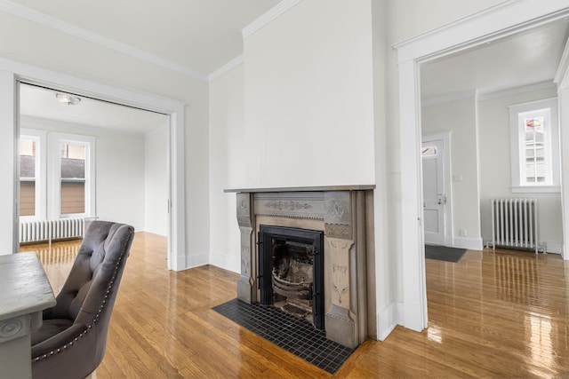 206 Franklin Pl, Rockford, IL 61103 - living room featuring radiator, a tiled fireplace, wood finished floors, ornamental molding, and baseboards