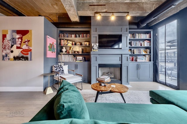 1070 W 15th St Unit 302, Chicago, IL 60608 - living room featuring rail lighting, wood finished floors, a large fireplace, and baseboards