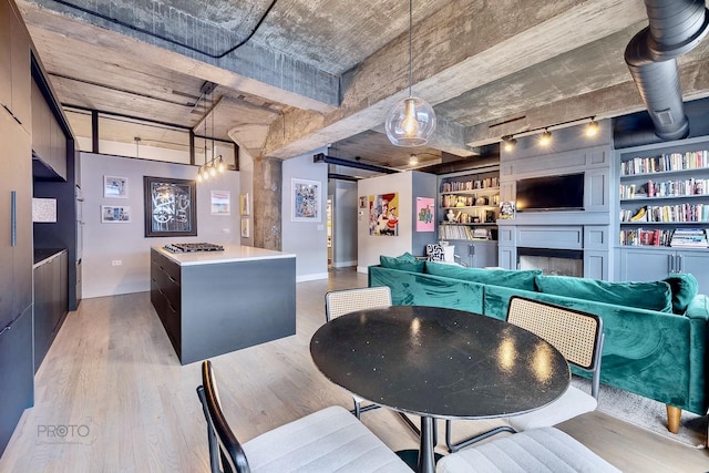 1070 W 15th St Unit 302, Chicago, IL 60608 - dining area featuring baseboards, light wood-style flooring, track lighting, and a fireplace