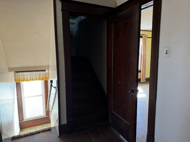 hallway with dark wood finished floors and stairs