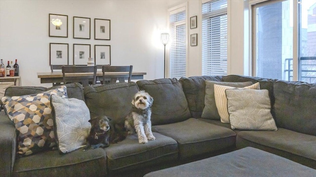 living room with a healthy amount of sunlight