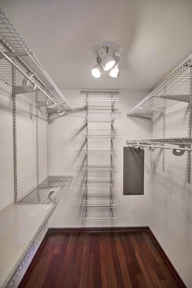 spacious closet with electric panel and wood finished floors