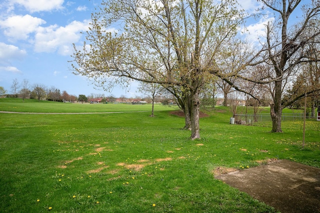 6226 Beechwood Rd, Matteson, IL 60443 - view of home's community featuring fence and a yard