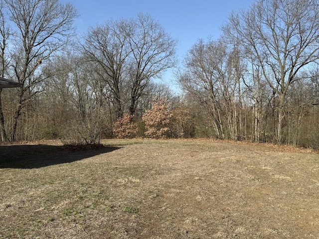 view of yard featuring a view of trees