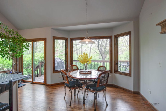16737 W Cherrywood Ln, Wadsworth, IL 60083 - dining room with wood finished floors, baseboards, and lofted ceiling