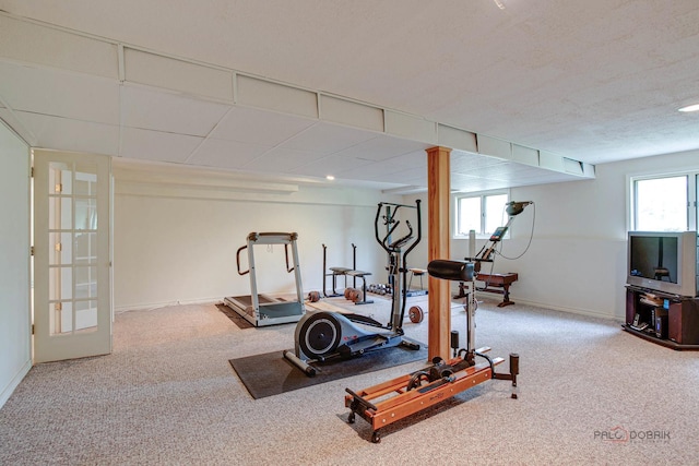 16737 W Cherrywood Ln, Wadsworth, IL 60083 - exercise area with baseboards and carpet