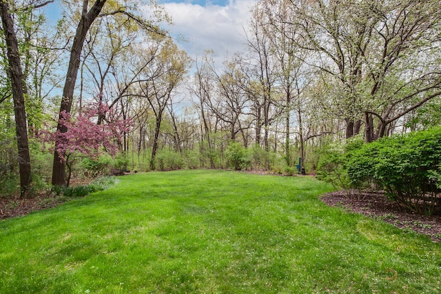 16737 W Cherrywood Ln, Wadsworth, IL 60083 - view of yard