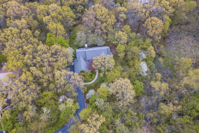 16737 W Cherrywood Ln, Wadsworth, IL 60083 - bird's eye view
