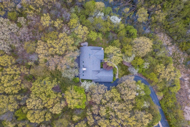 16737 W Cherrywood Ln, Wadsworth, IL 60083 - drone / aerial view
