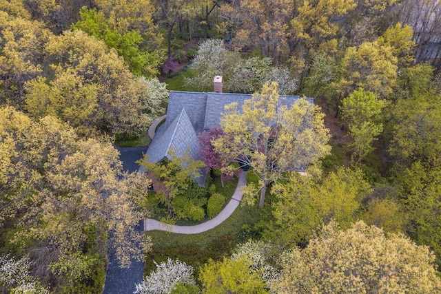 16737 W Cherrywood Ln, Wadsworth, IL 60083 - bird's eye view with a view of trees