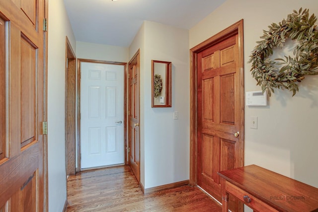16737 W Cherrywood Ln, Wadsworth, IL 60083 - corridor with light wood-style flooring and baseboards