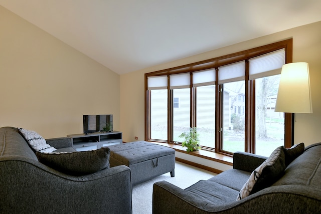 1167 Timberlane Ct, Naperville, IL 60540 - living room with a healthy amount of sunlight and vaulted ceiling