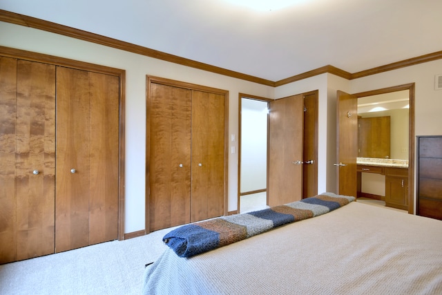 1167 Timberlane Ct, Naperville, IL 60540 - bedroom with ornamental molding, carpet flooring, two closets, and visible vents