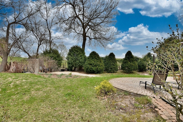 1167 Timberlane Ct, Naperville, IL 60540 - view of yard