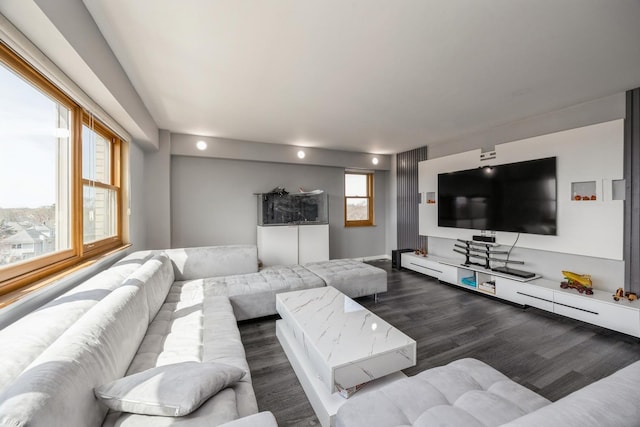 living room with dark wood-style flooring