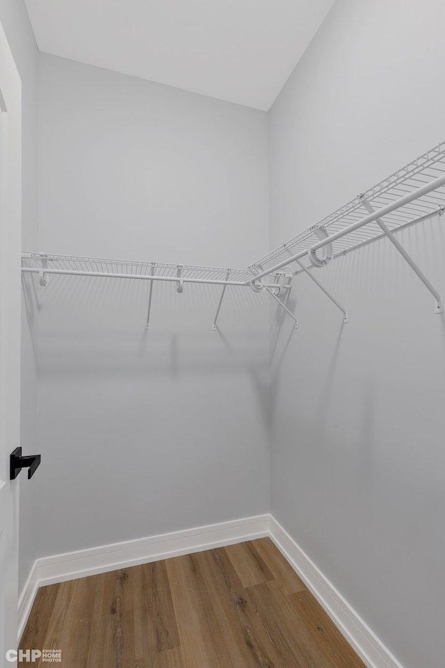 walk in closet with wood finished floors