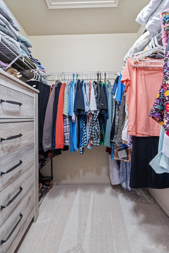 walk in closet with carpet floors