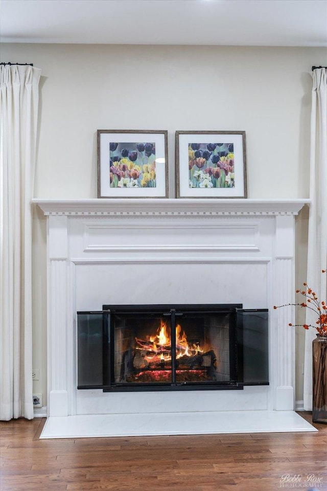 room details with a fireplace with flush hearth and wood finished floors