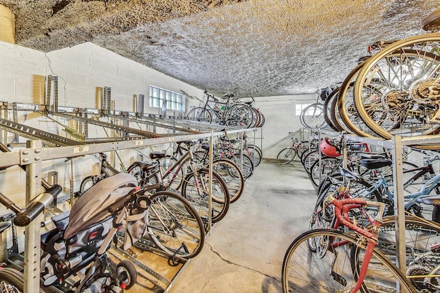 700 W Bittersweet Pl Unit 807, Chicago, IL 60613 - garage featuring concrete block wall and bike storage