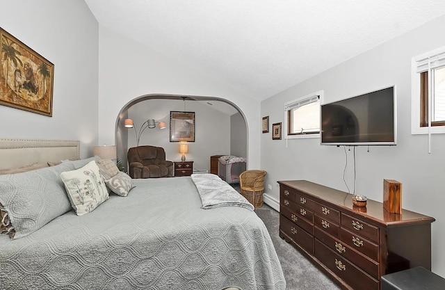10922 Massasoit Ave, Chicago Ridge, IL 60415 - carpeted bedroom featuring arched walkways, multiple windows, baseboard heating, and lofted ceiling