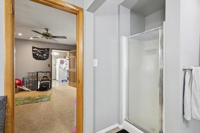 313 W S St, Pearl City, IL 61062 - full bathroom with a shower stall and a ceiling fan