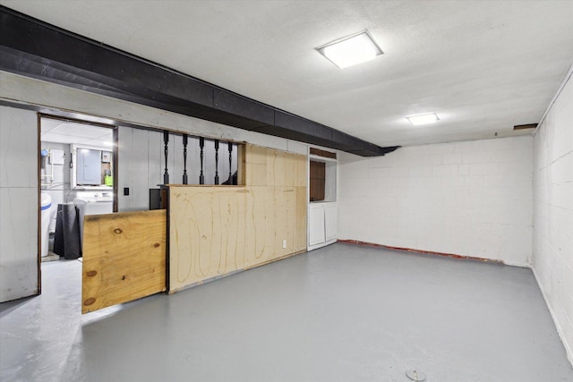 313 W S St, Pearl City, IL 61062 - finished below grade area with concrete block wall