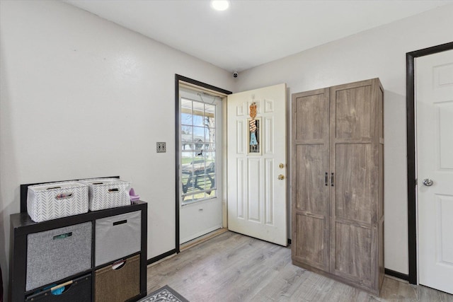 313 W S St, Pearl City, IL 61062 - foyer with light wood-style floors and baseboards