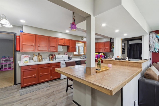313 W S St, Pearl City, IL 61062 - kitchen with white electric range, light wood-style flooring, dishwasher, a sink, and tile counters