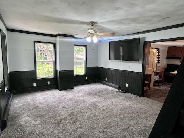 2215 Deets Rd, Sterling, IL 61081 - carpeted empty room with wainscoting, a ceiling fan, and wood walls