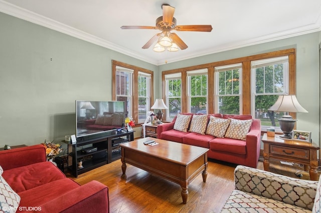 living room featuring a ceiling fan, plenty of natural light, and ornamental molding