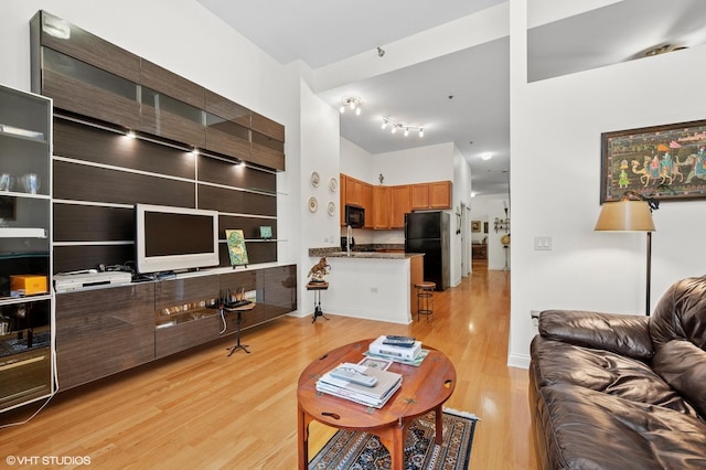 living area featuring track lighting and light wood-style floors