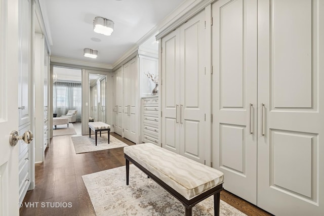 2140 N Seminary Ave, Chicago, IL 60614 - spacious closet with dark wood finished floors