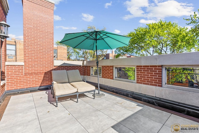 816 W Lill Ave, Chicago, IL 60614 - view of patio / terrace