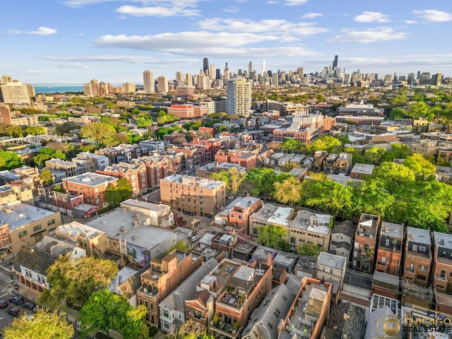 816 W Lill Ave, Chicago, IL 60614 - bird's eye view of a view of skyline