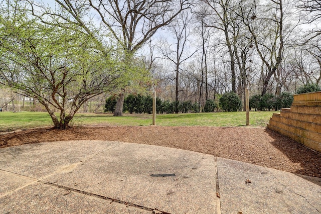 view of yard with a patio