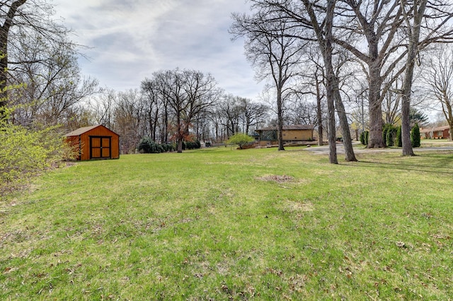 view of yard with a storage shed and an outdoor structure