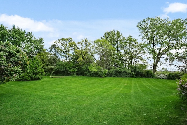 2756 Fox River Ln, Naperville, IL 60565 - view of grassy yard