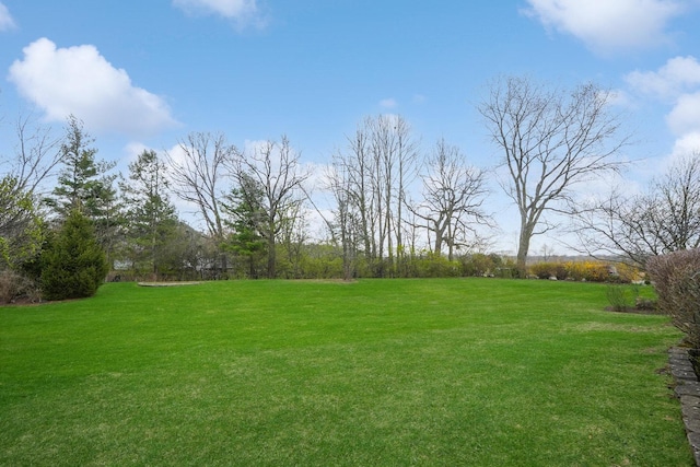2756 Fox River Ln, Naperville, IL 60565 - view of grassy yard