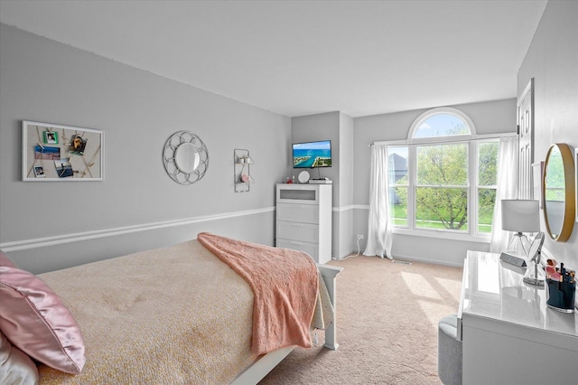 bedroom with light colored carpet