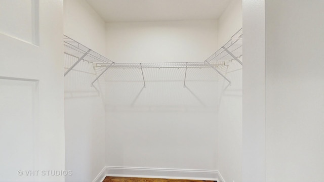 spacious closet featuring wood finished floors