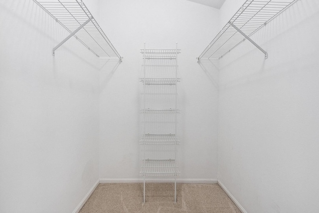 spacious closet with carpet floors