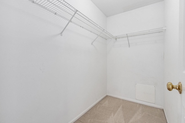 walk in closet featuring light colored carpet and visible vents