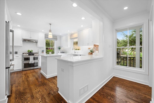 kitchen featuring stainless steel appliances, dark wood-type flooring, under cabinet range hood, visible vents, and ornamental molding